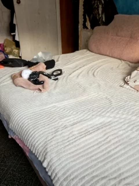 Cat-Bars69 HD Camrip • 30min • 2026-01-27 09:56