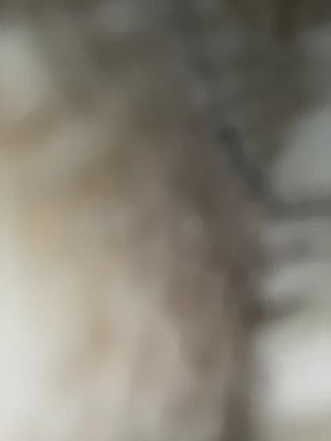 KARASEVDAKINOGO HD Camrip • 78min • 2026-02-04 10:25