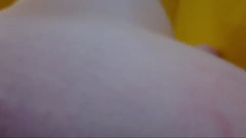 SklavinYuri HD Camrip • 44min • 2026-03-14 21:45