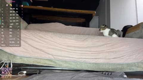 SweetSakuraJane HD Camrip • 83min • 2026-04-01 02:33