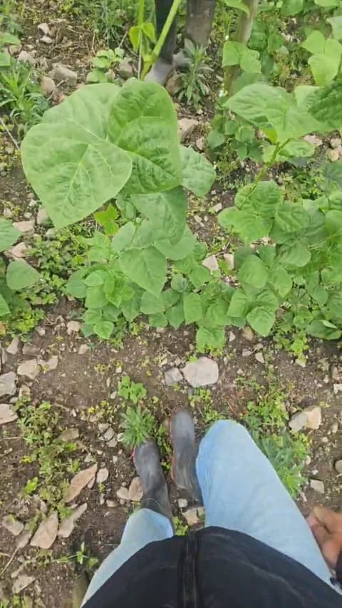 jo23_xxx HD Camrip • 41min • 2026-04-09 16:46