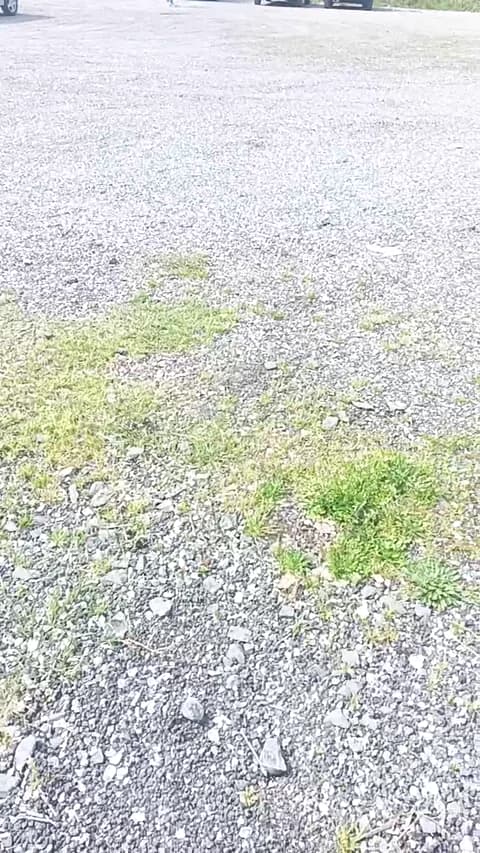 livenews1 HD Camrip • 48min • 2026-03-15 11:39