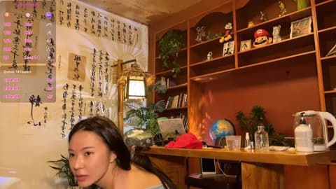 meowLili HD Camrip • 62min • 2026-04-12 14:13